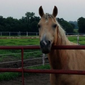 Meet your Posher, Jan